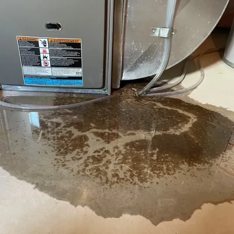 Appliance Leak Cleanup in Greater Grand Crossing, IL